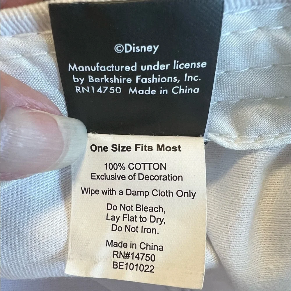 Disney mickey mouse